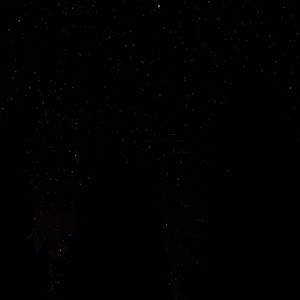 Meet your Posher, Elijah